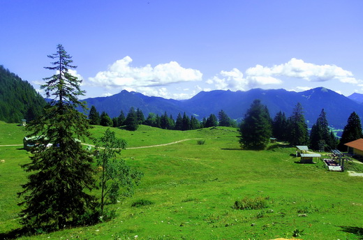 Auf der Alm